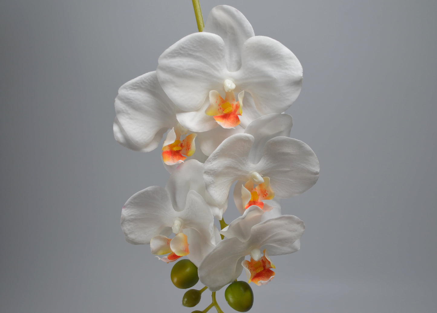 Single Stem Real Touch Artificial White Moth Orchid | Faux Floral for Home, Gift, Commercial décor