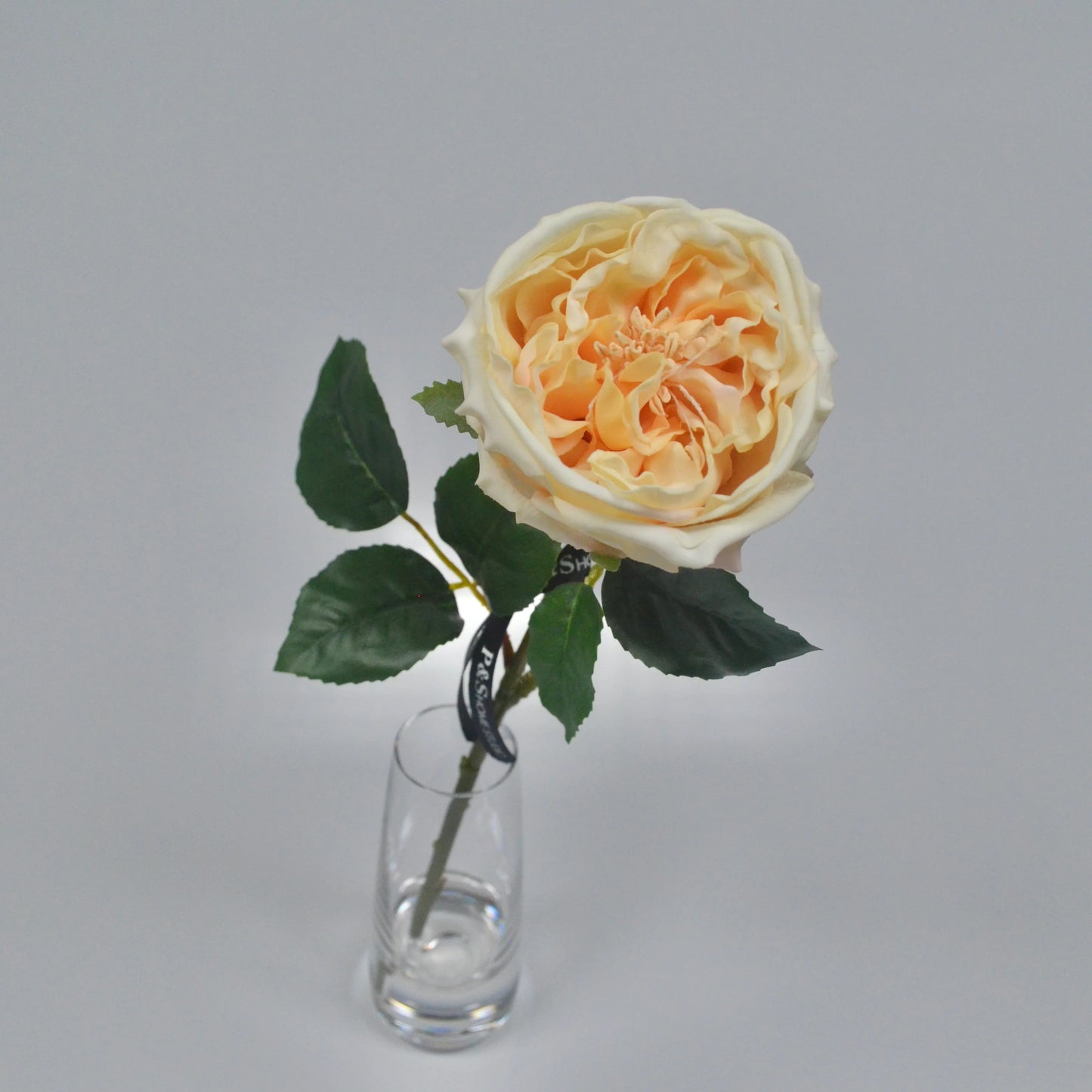 Yellow rose in a clear vase on a gray background