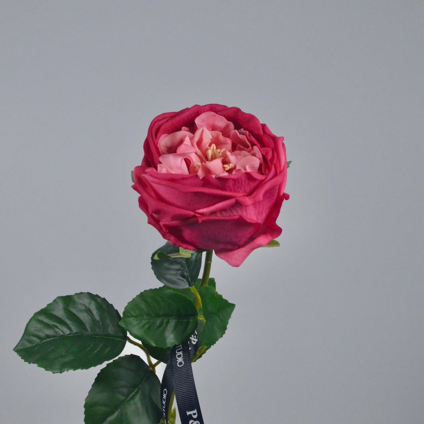 Artificial pink rose with green leaves on a gray background