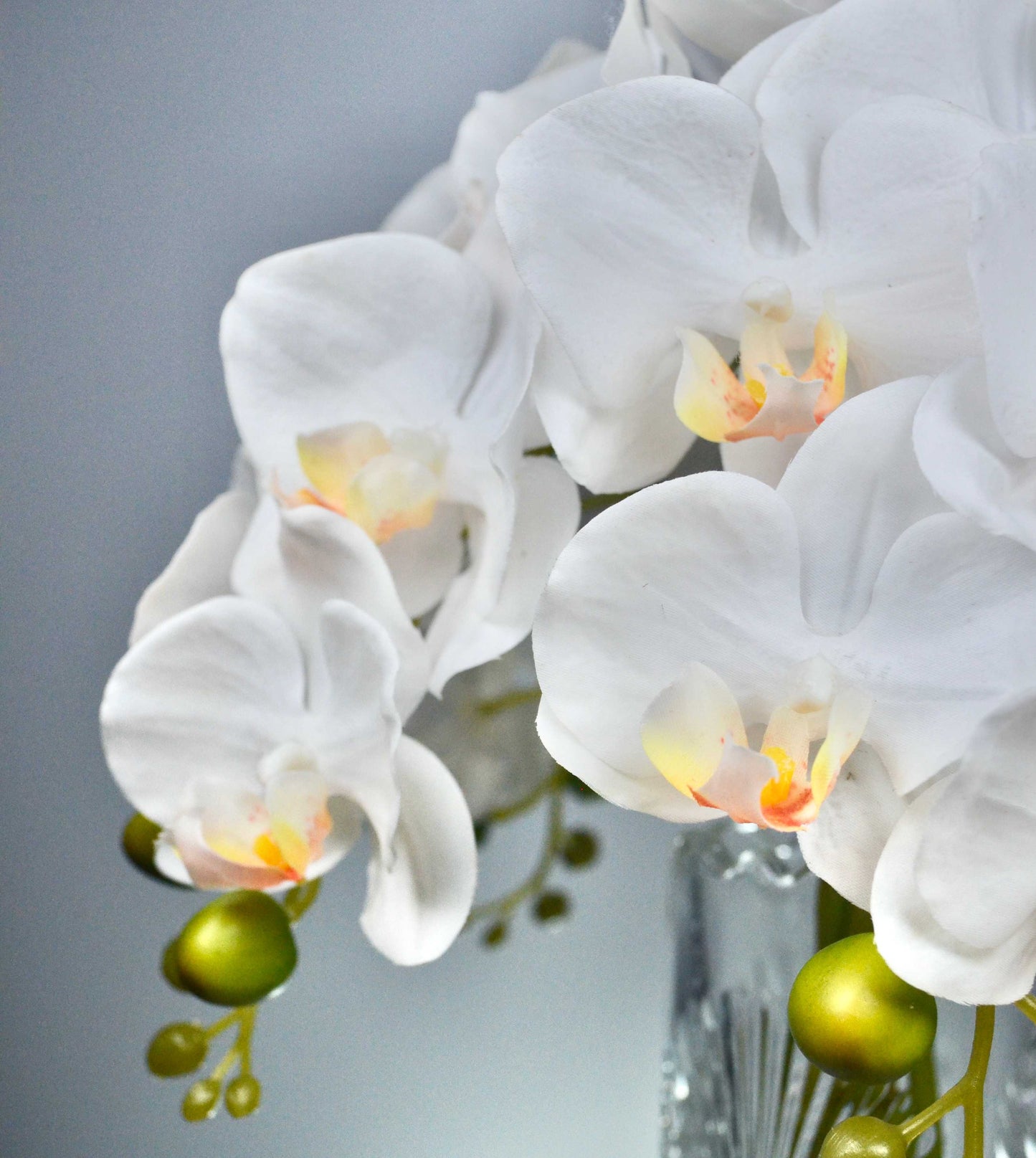Close-up of white orchids with a blurred gray background