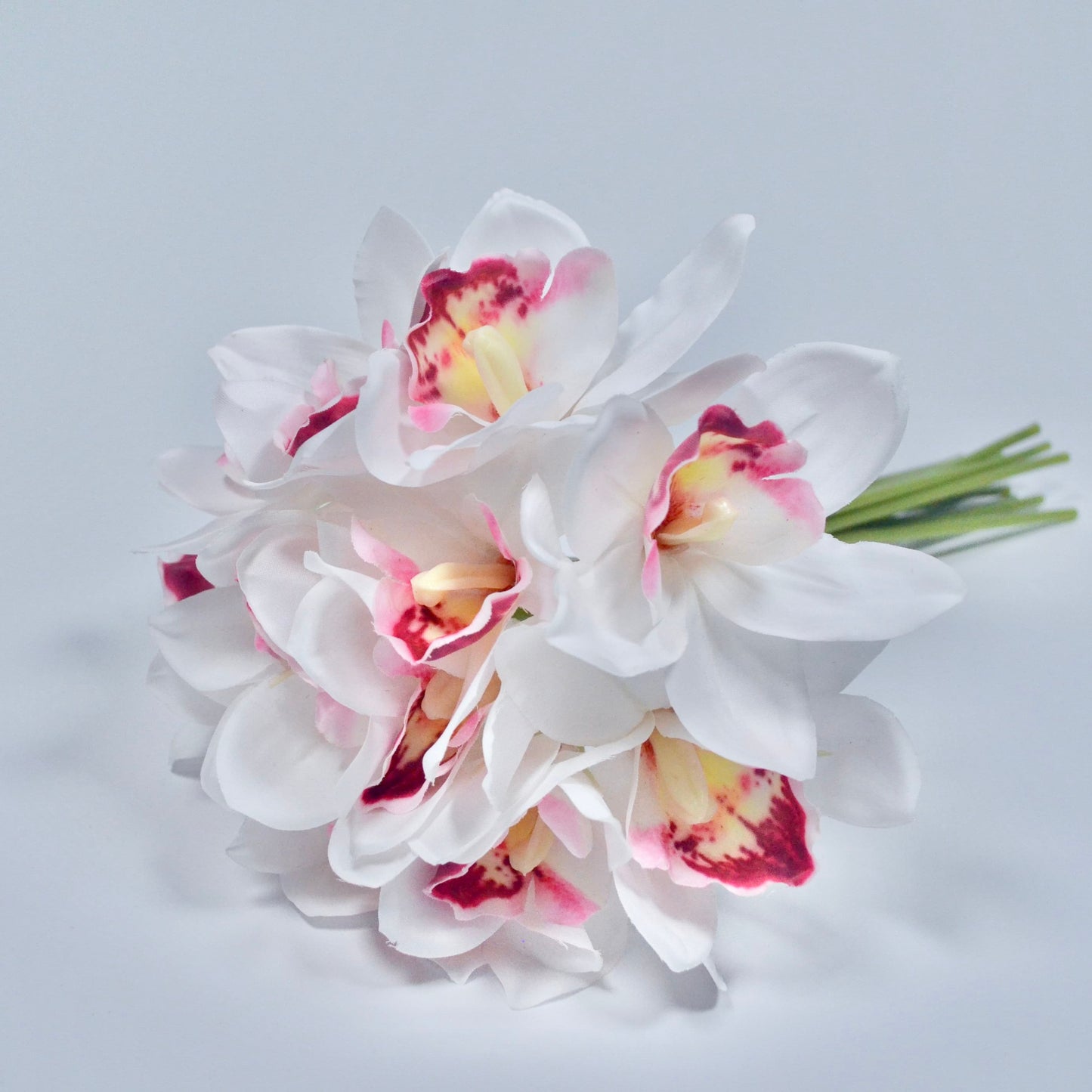 White orchids with pink and yellow centers on a light gray background