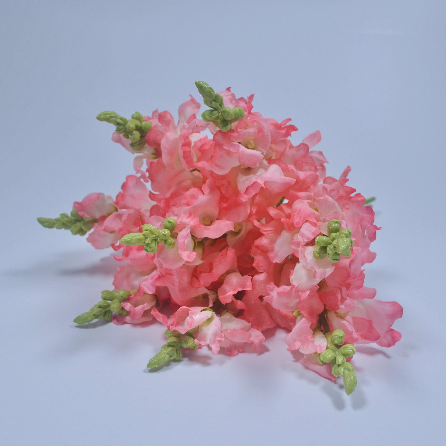 Pink floral arrangement on a light blue background
