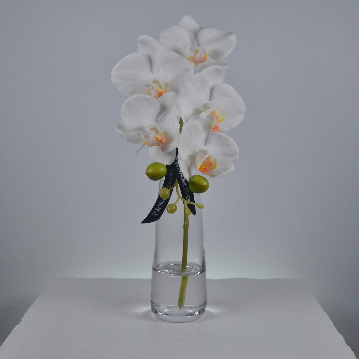 White orchid in a clear vase on a white surface with a gray background