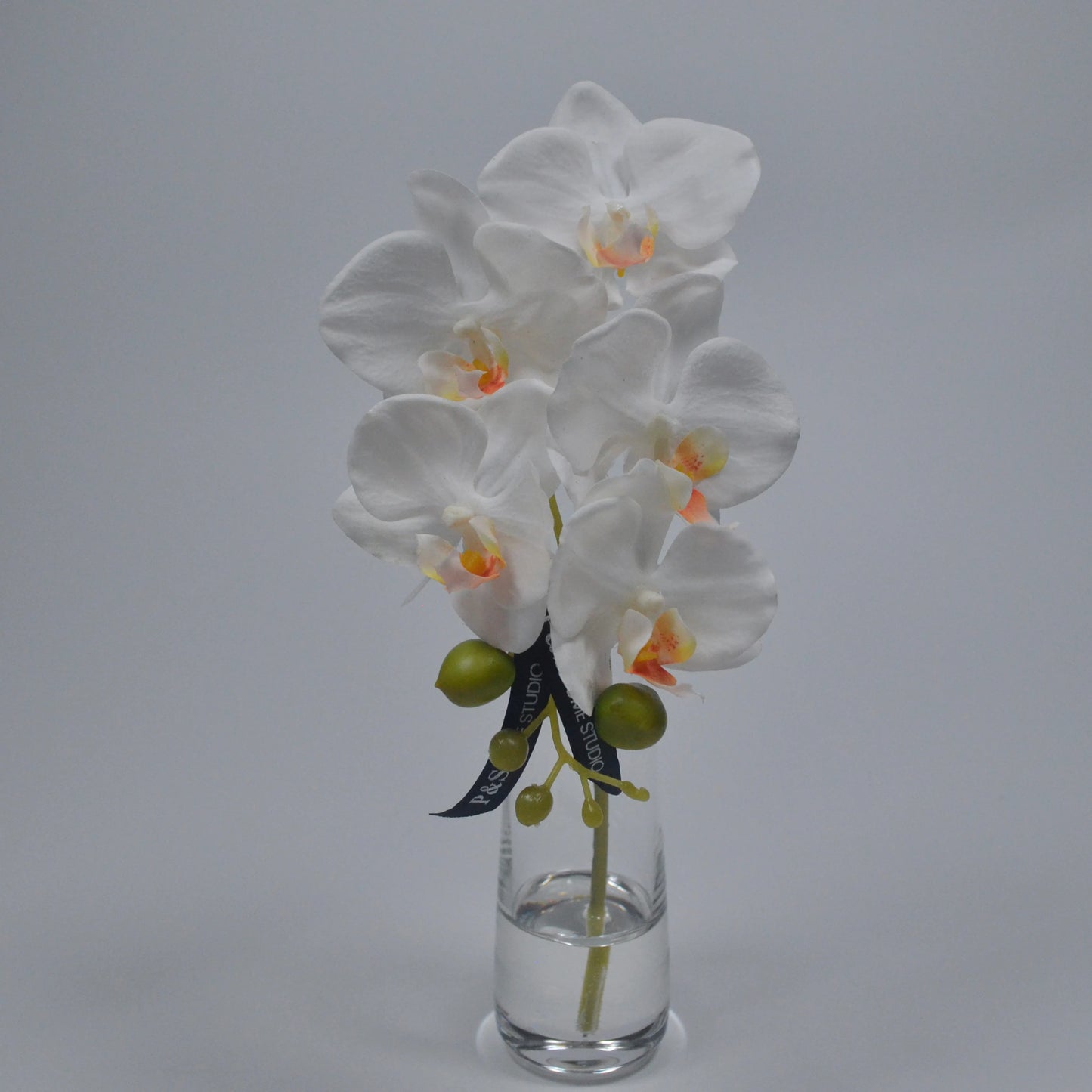 White orchid in a clear vase on a gray background