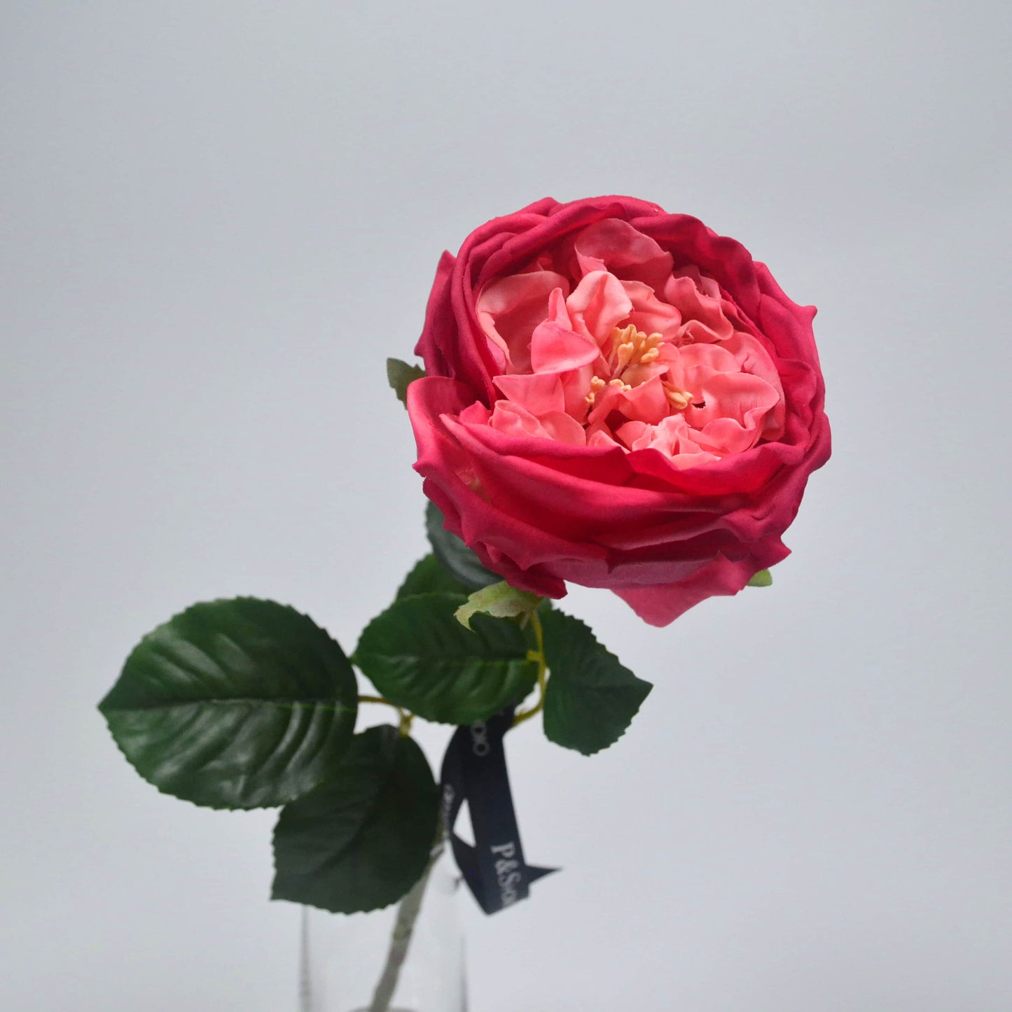 Single Stem Real Touch Austin Rose for Home, Gift & Commercial Décor