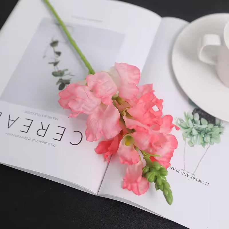 Pink Snapdragon