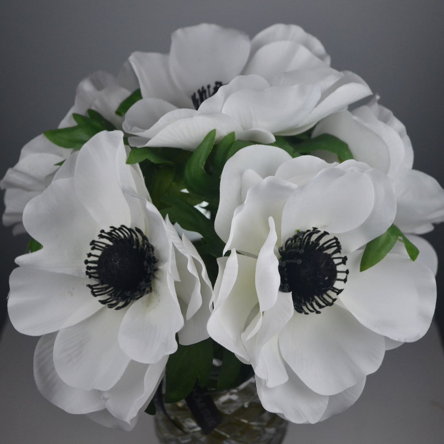 Bouquet of white flowers with black centers on a gray background