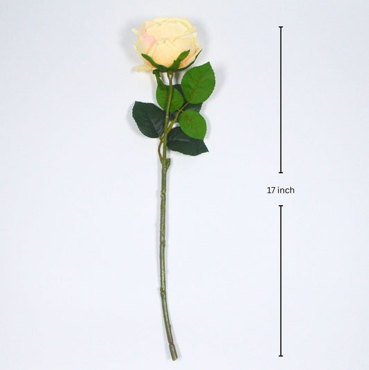 Real touch Austin rose champagne colour single stem