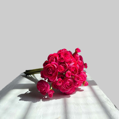 Bouquet of bright pink flowers on a white surface with a light gray background