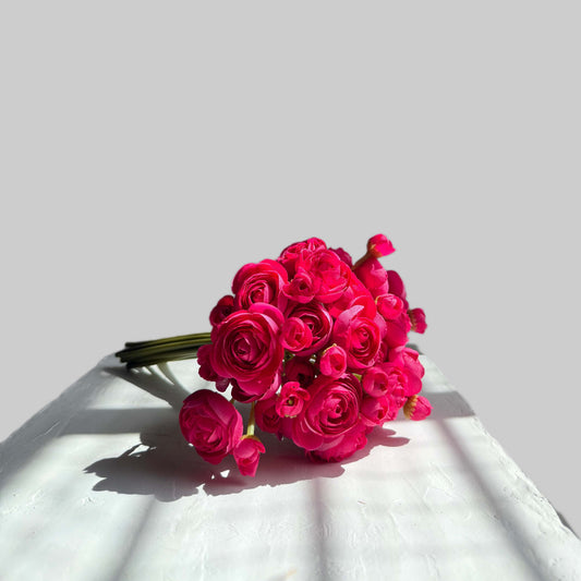 Bouquet of bright pink flowers on a white surface with a light gray background