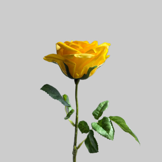 Yellow rose with green leaves on a gray background