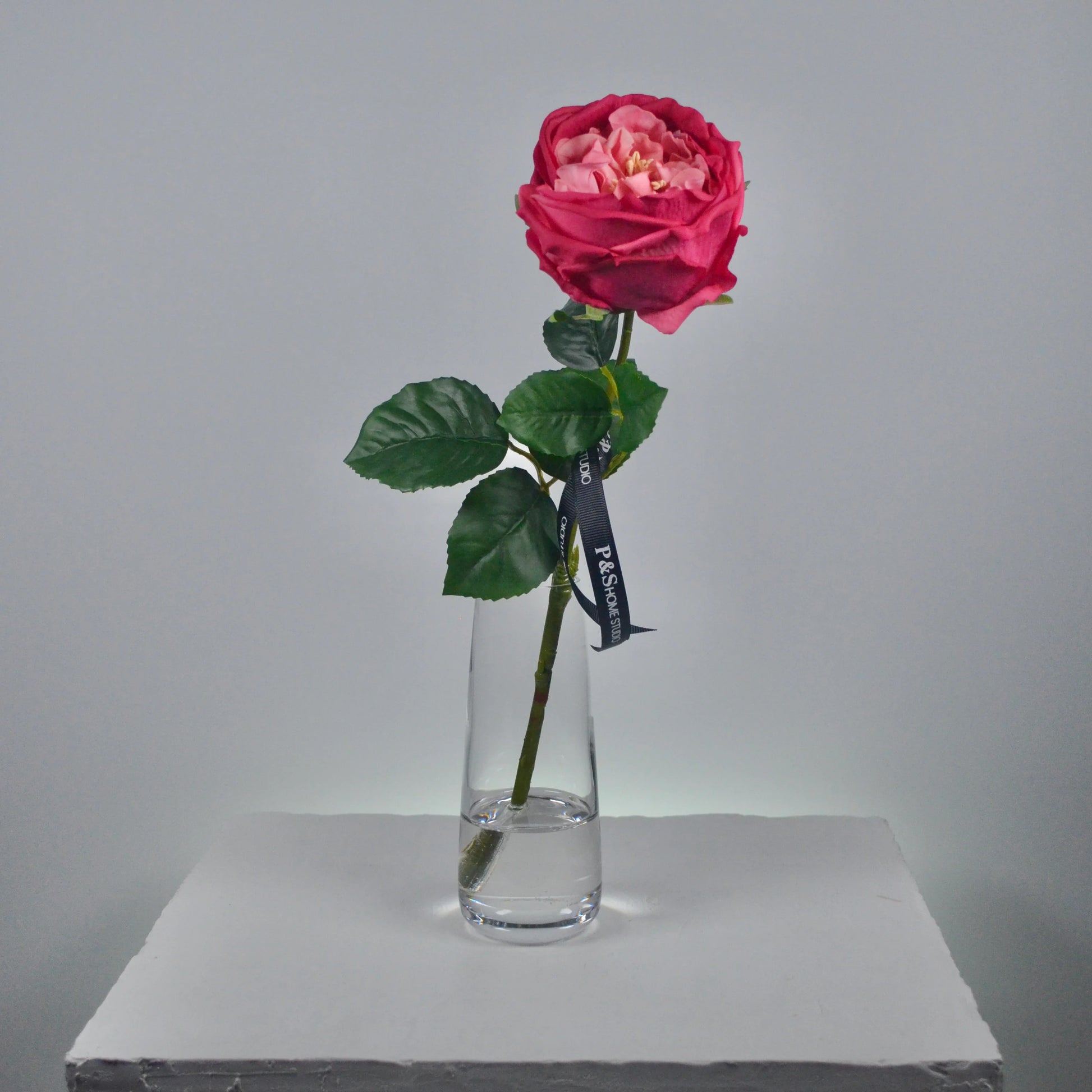 Single pink rose in a clear vase on a gray surface with a gray background
