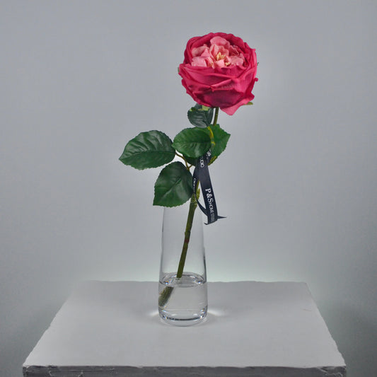 Single pink rose in a clear vase on a gray surface with a gray background