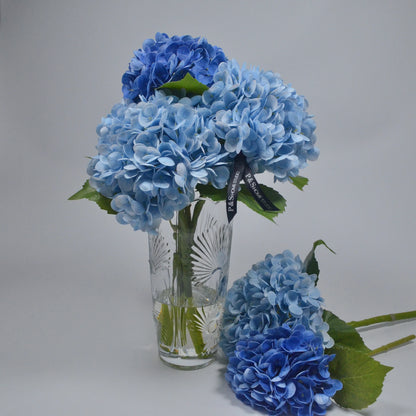 Blue hydrangeas in a clear glass vase on a gray background