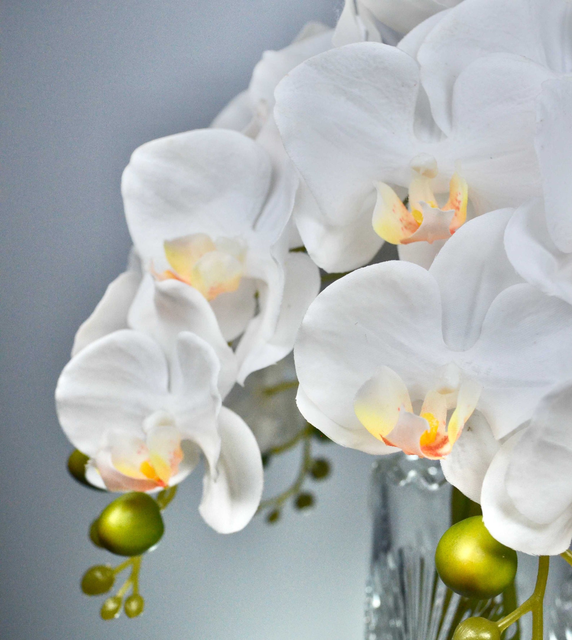 Close-up of white orchids with a blurred gray background