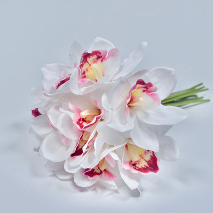 White orchids with pink and yellow centers on a light gray background