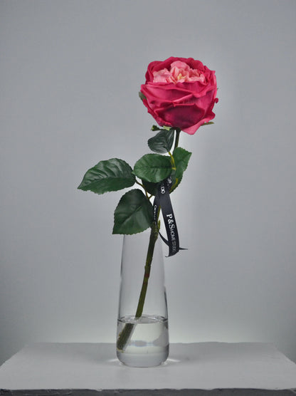 Single red rose in a clear vase on a gray background