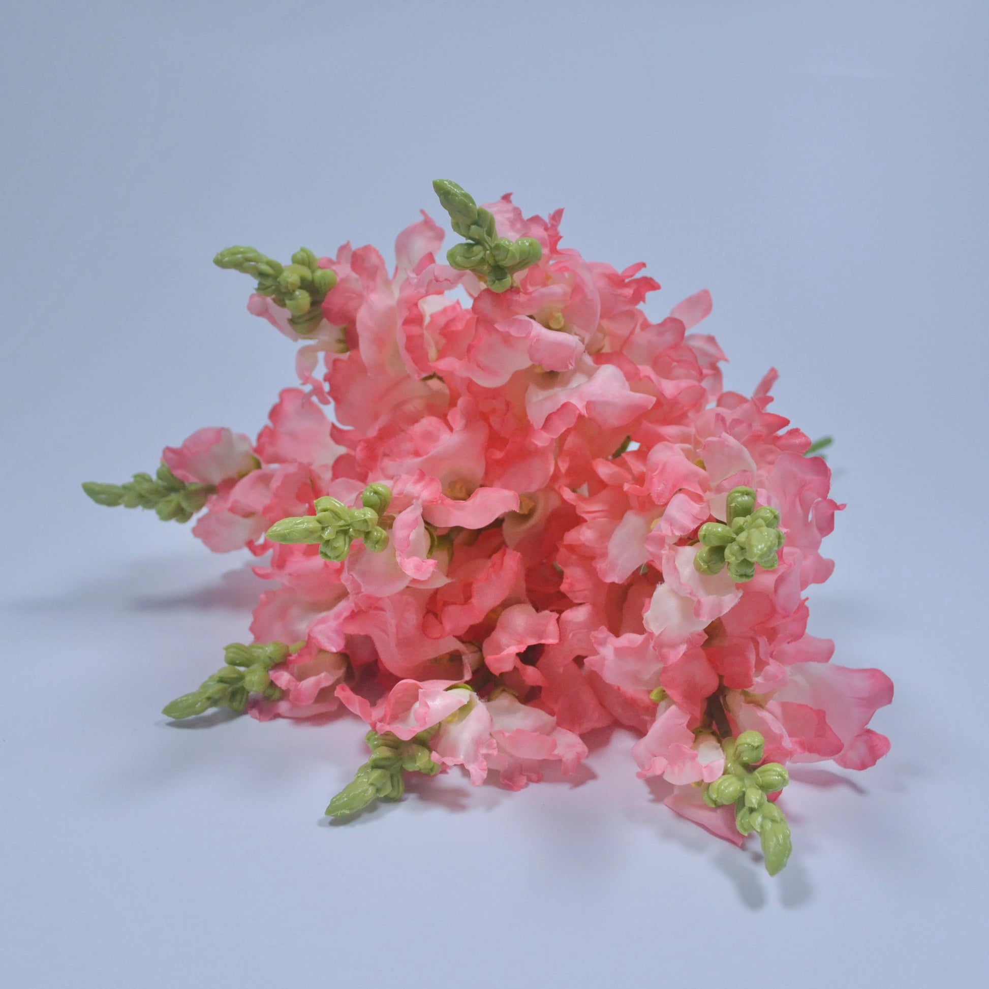 Pink floral arrangement on a light blue background