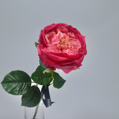 Pink artificial rose with green leaves on a gray background
