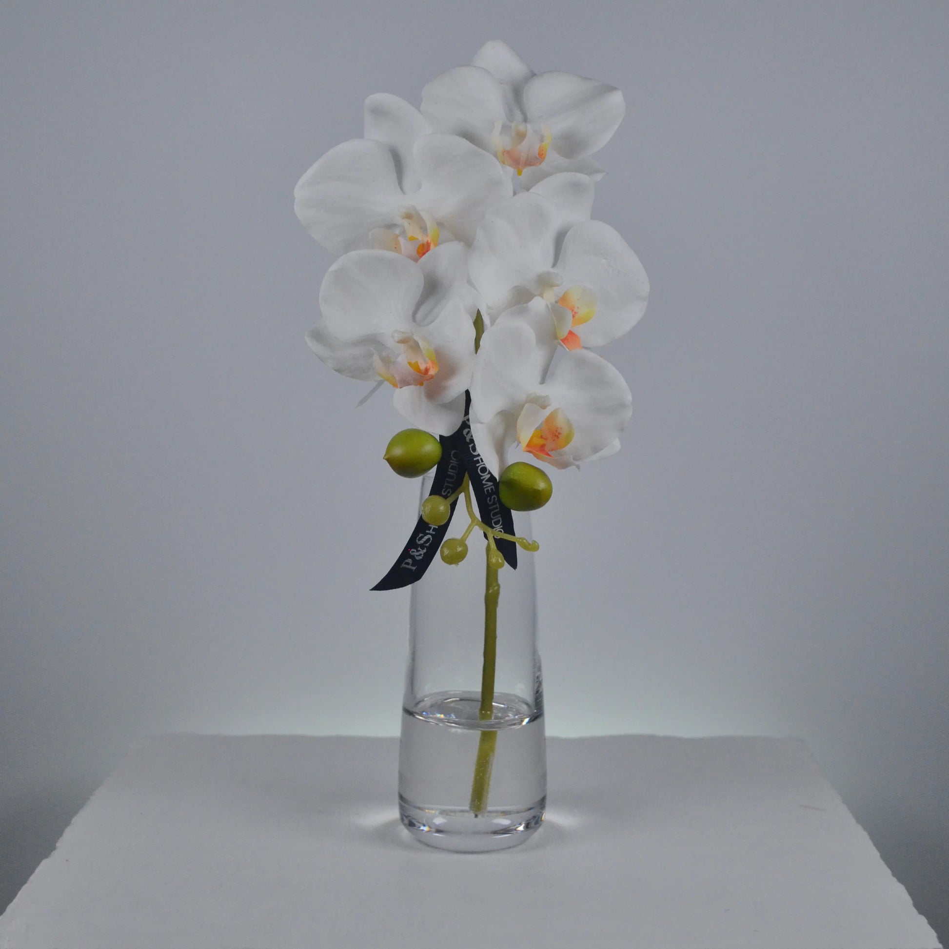 White orchid in a clear vase on a white surface with a gray background