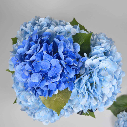 Luxury Real touch blue hydrangea in glass vase. Artificial flower.