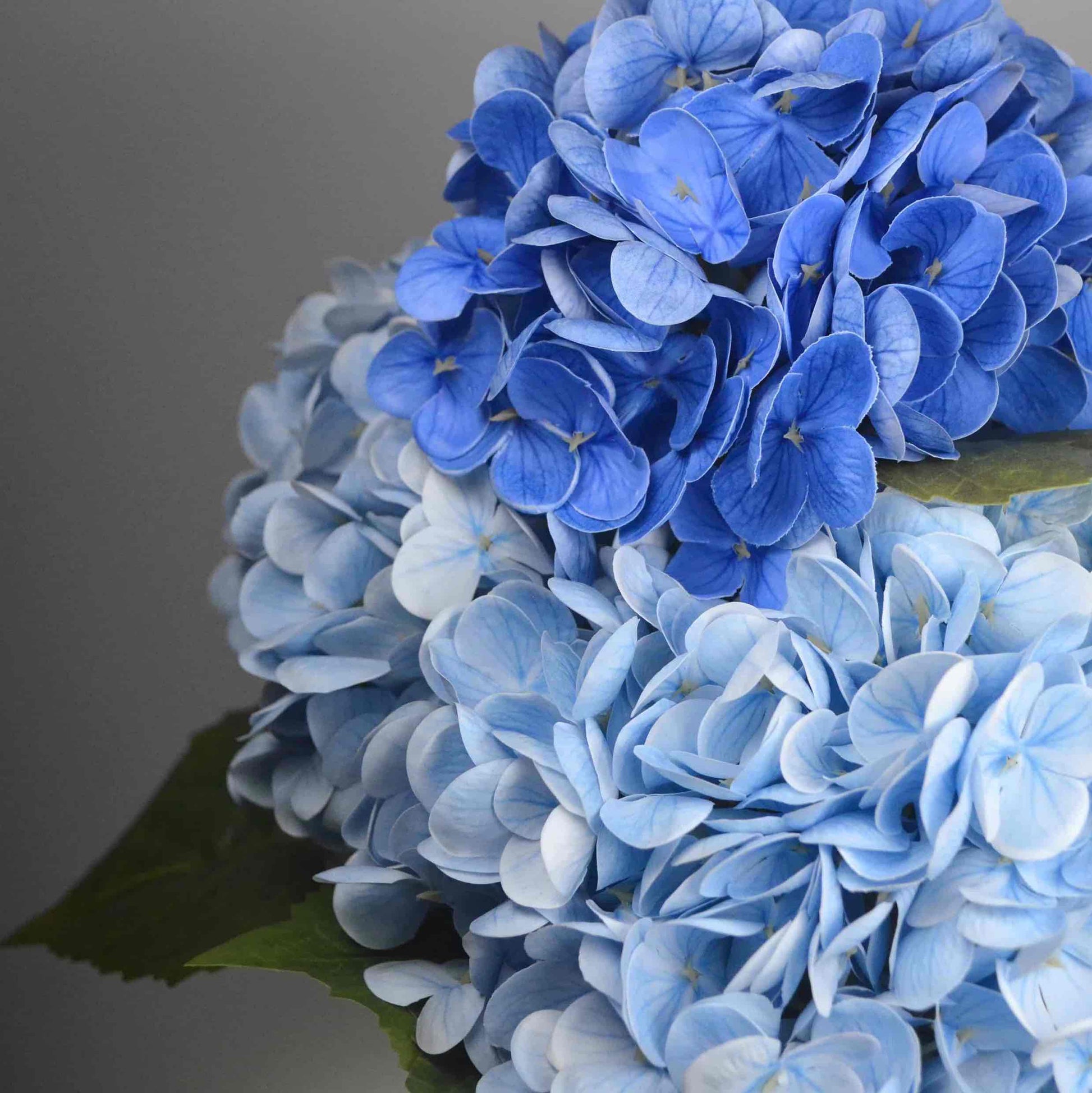 Luxury Real touch blue hydrangea in glass vase. Artificial flower.